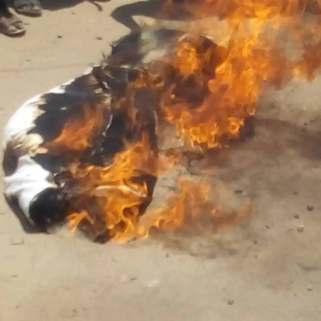 viduthalai siruthai katchi protest
